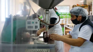 Más de $17.700 millones para el desarrollo de Río Negro