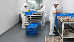 Con apoyo de Provincia, Azul Pesquera amplió su capacidad productiva